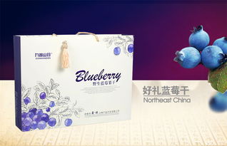 九鑫山珍野生藍(lán)莓干 品味東北林海的自然饋贈