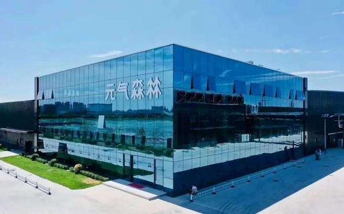 元?dú)馍趾螒帧胺ツ竟ぁ保俊轹尉撂貏e策劃，揭秘品牌破局之道